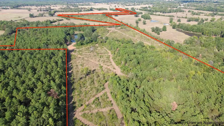 000 W Fm 1662, Laneville, TX 75667 - #3