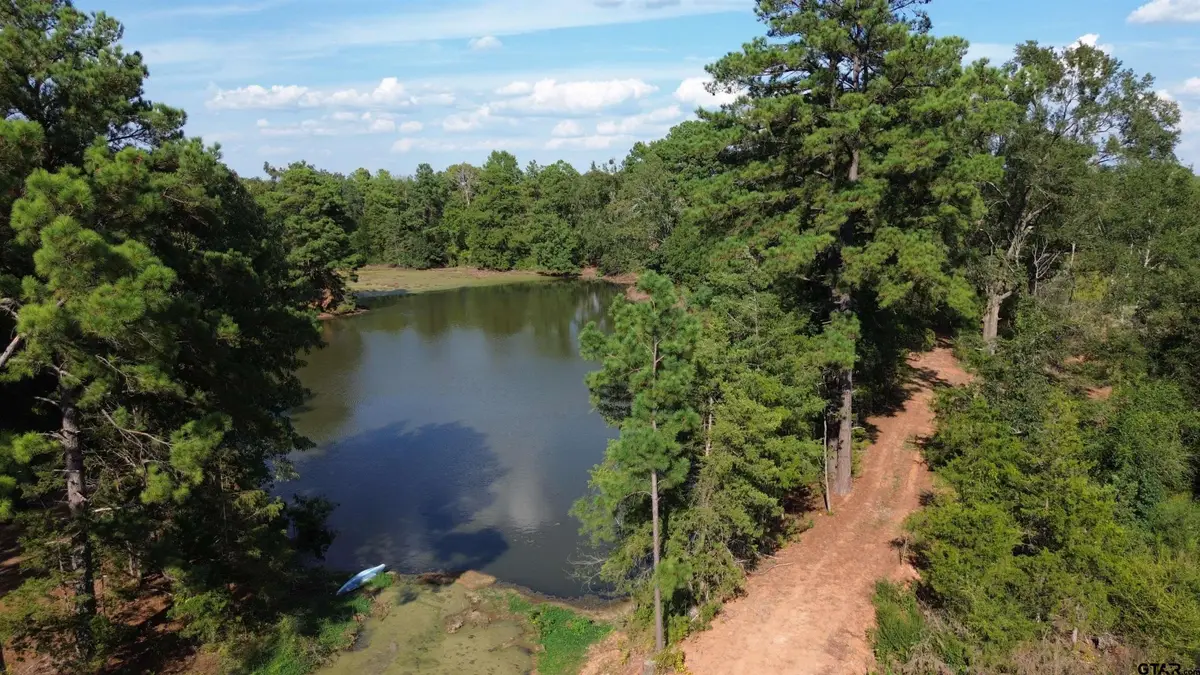 South Tract 000 W Fm 1662, Laneville, TX 75667 - #1