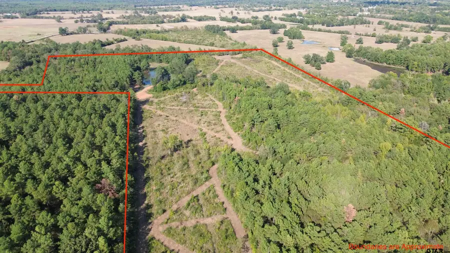 South Tract 000 W Fm 1662, Laneville, TX 75667 - #3