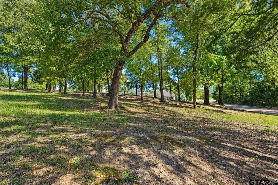 2477 Wellington Trace, Tyler, TX 75709 - #3