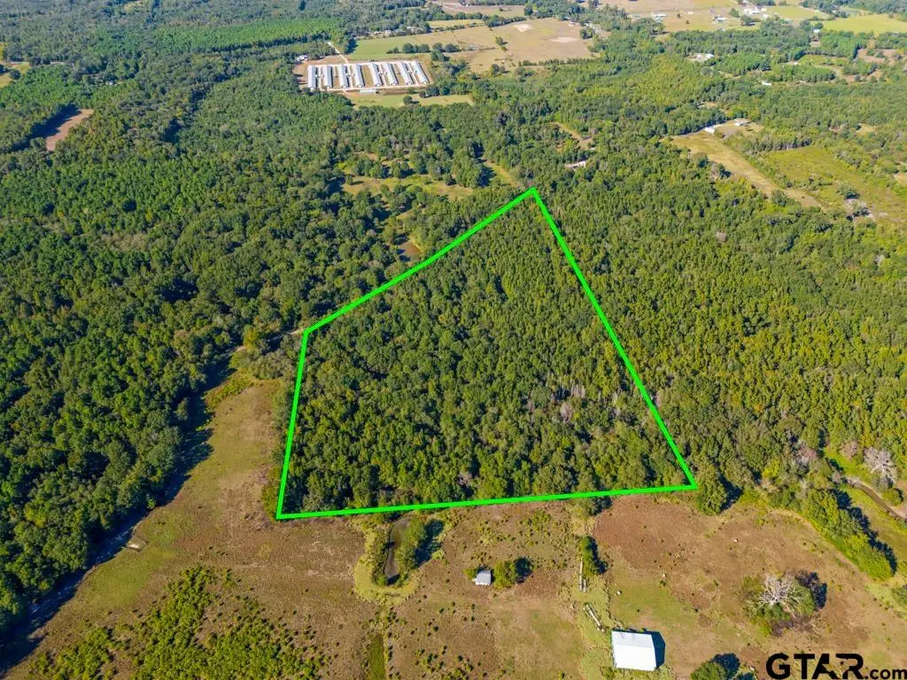 TBD Fm 3324, 24 Acres, Pittsburg, TX 75686 - #1
