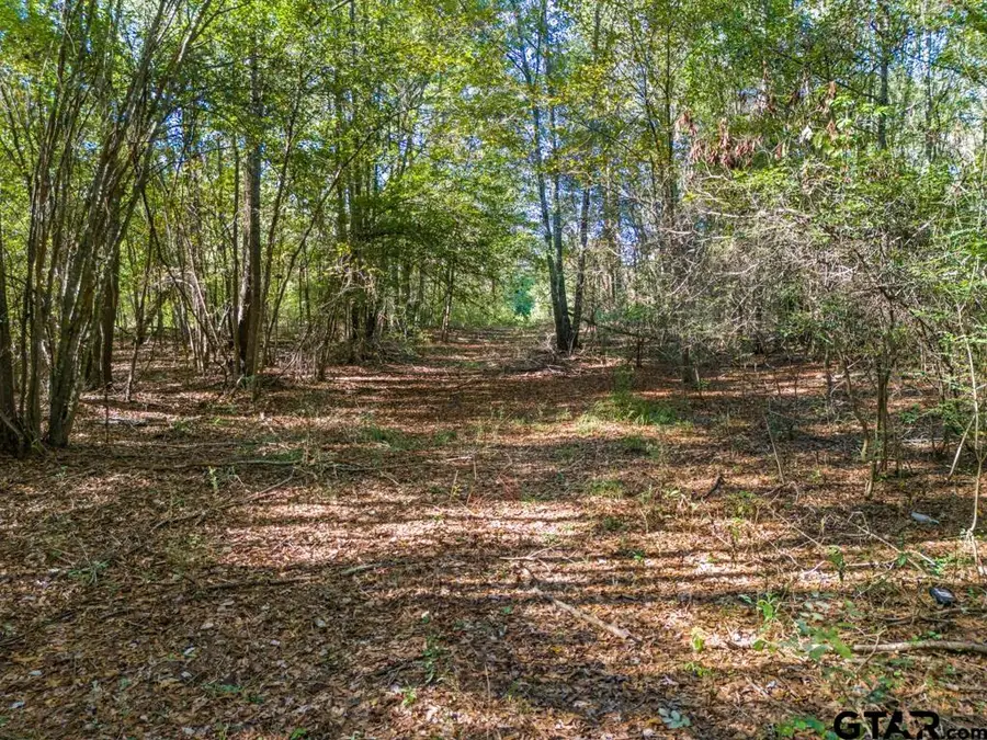 TBD Fm 3324, 24 Acres, Pittsburg, TX 75686 - #3