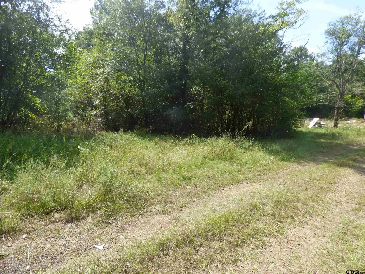 661 County Road 1147, Daingerfield, TX 75638 - #1
