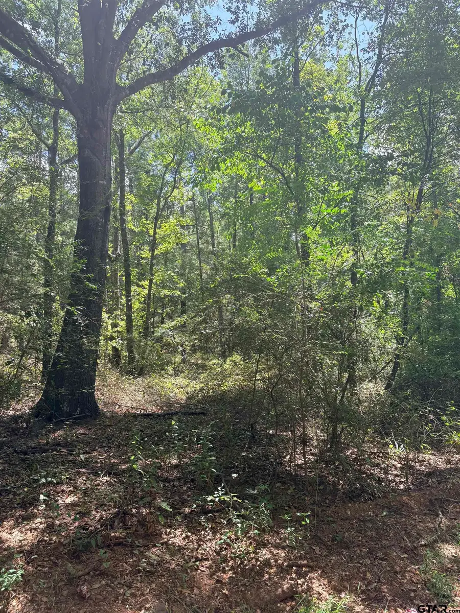 TBD Cr 2212, Pittsburg, TX 75686 - #2