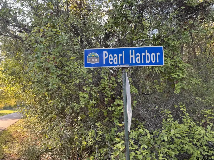 1160 Pearl Harbor St, Tool, TX 75143 - #3