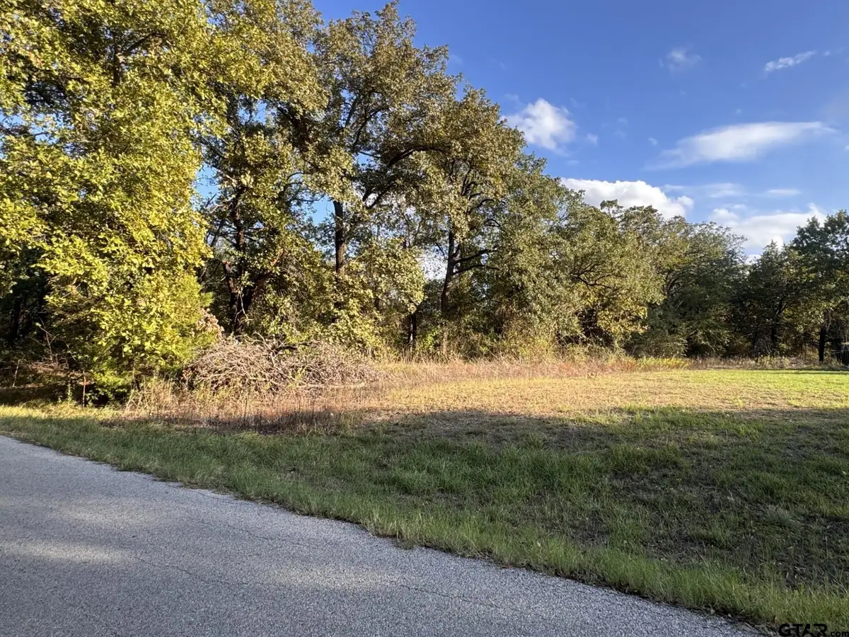 1159 Bora Bora St, Tool, TX 75143 - #1
