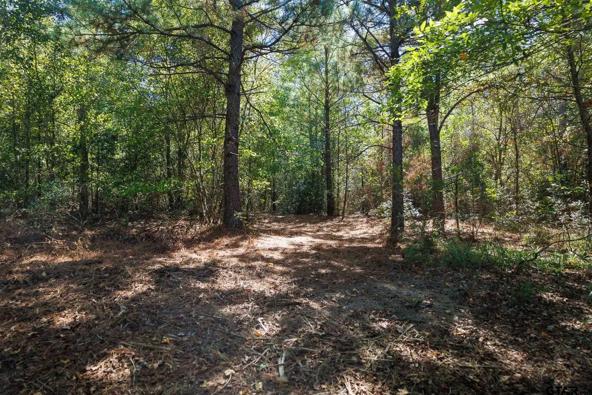 TBD Peach Road Unit #1, Gilmer, TX 75644 - #1