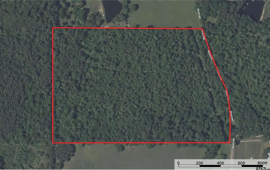 TBD Peach Road Unit #1, Gilmer, TX 75644 - #2