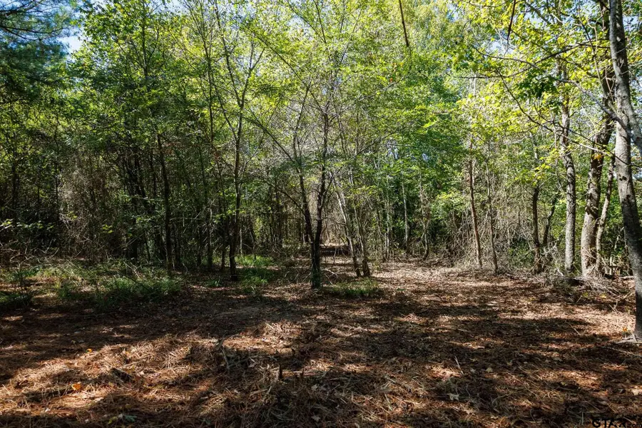 TBD Peach Road Unit #1, Gilmer, TX 75644 - #3