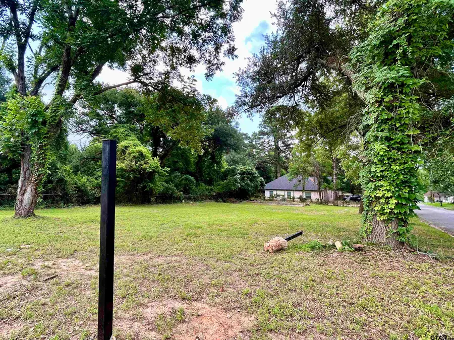221 Gay Ave., Gladewater, TX 75647 - #3