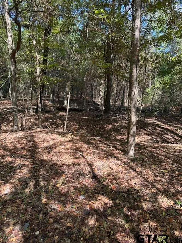 2669 Poppy, Gilmer, TX 75644 - #1
