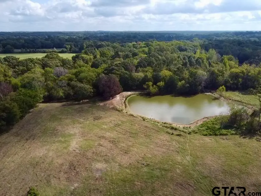 TBD Fm 779, Alba, TX 75410 - #2