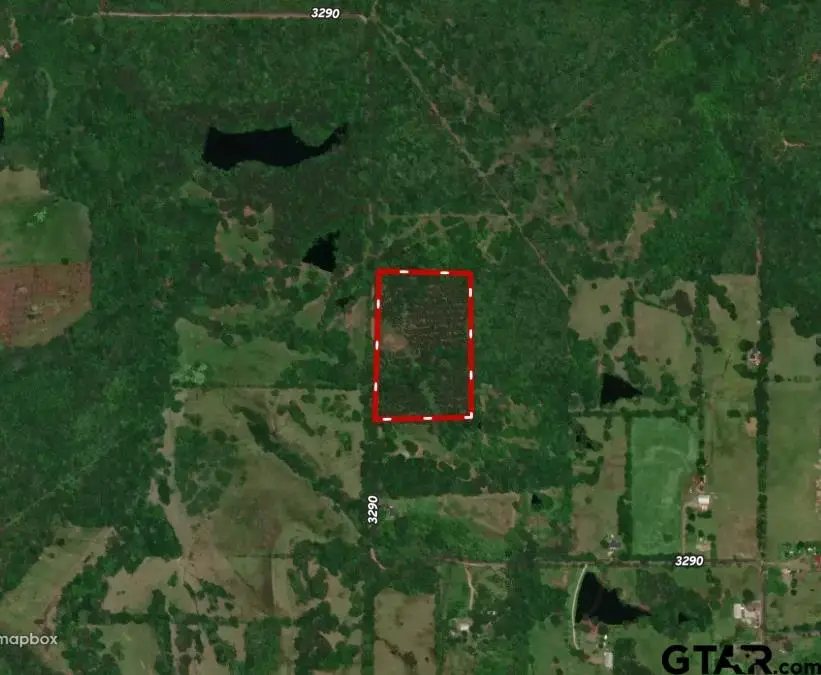 TBD Cr 3290, Mount Pleasant, TX 75455 - #1
