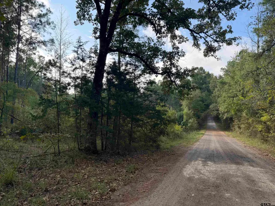 TBD Cr 3290, Mount Pleasant, TX 75455 - #2
