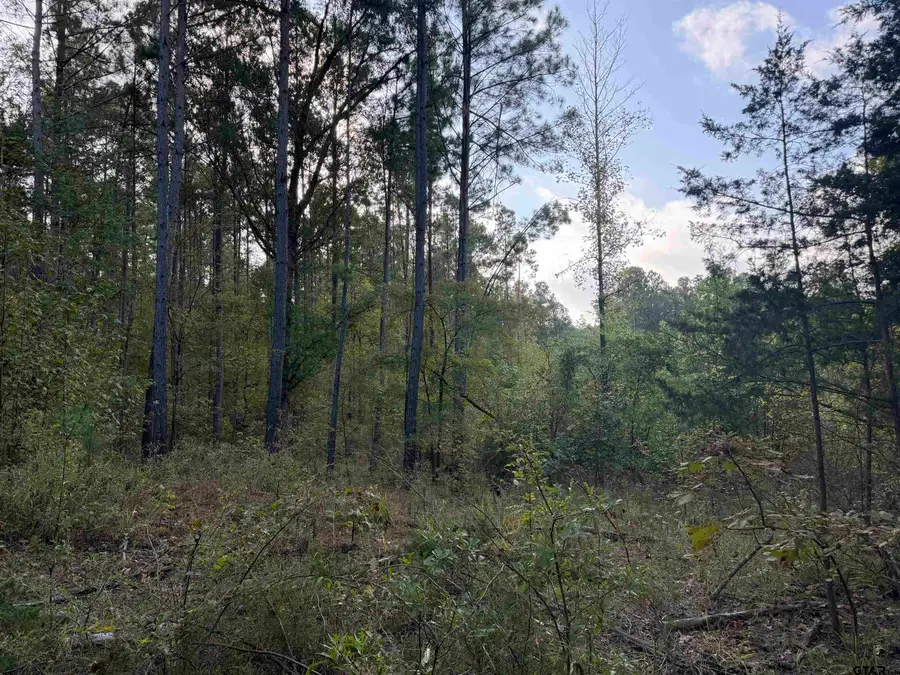 TBD Cr 3290, Mount Pleasant, TX 75455 - #3