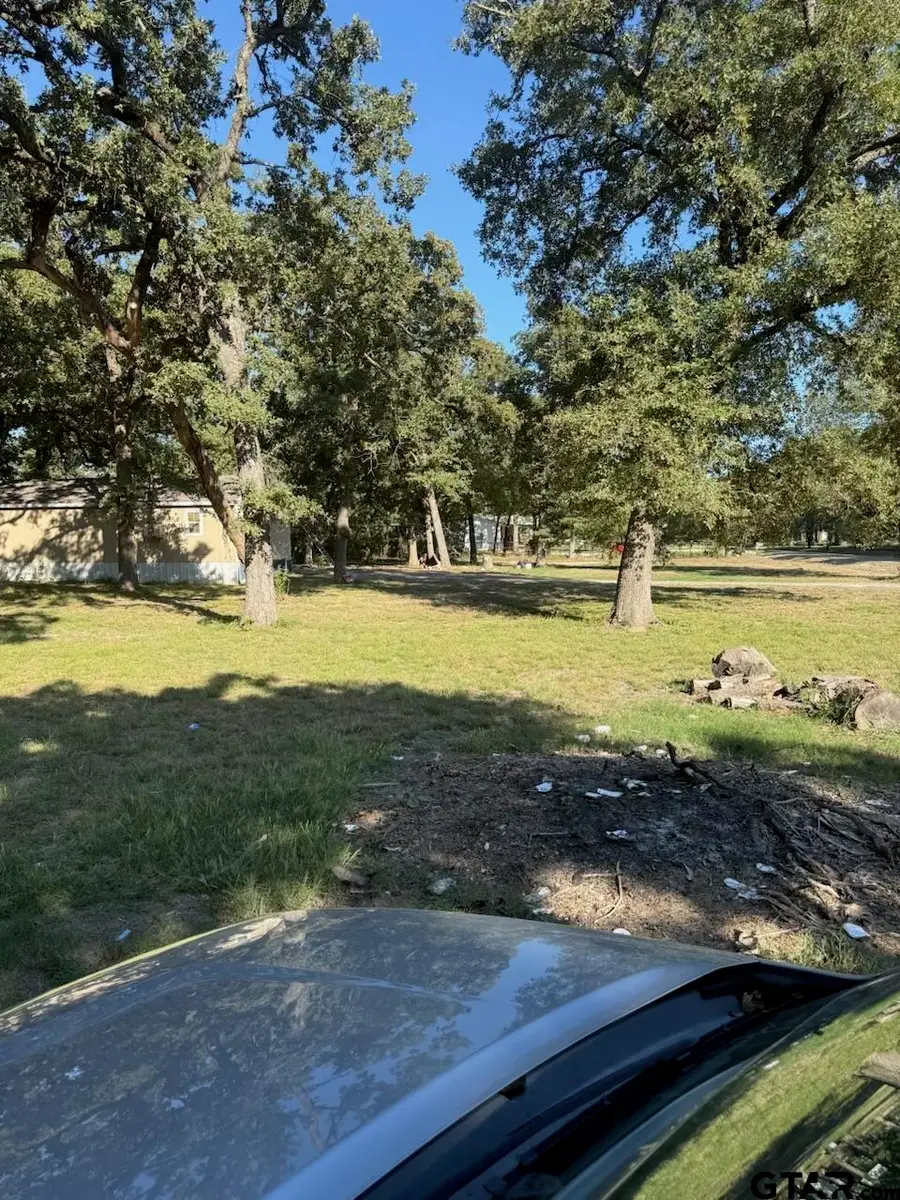 14225 Clark Ln, Wills Point, TX 75169 - #3
