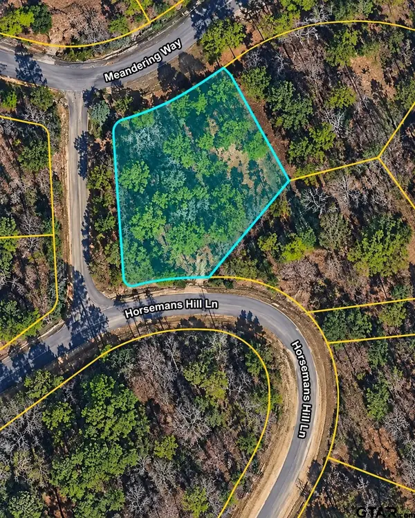 TBD Meandering Way, Flint, TX 75762