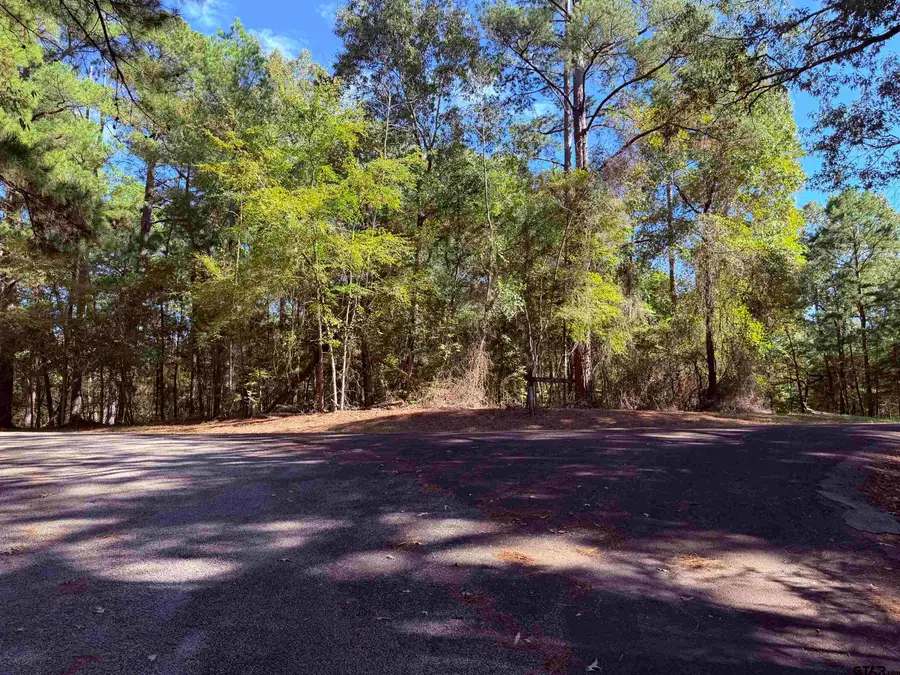 TBD Meandering Way, Flint, TX 75762 - #3