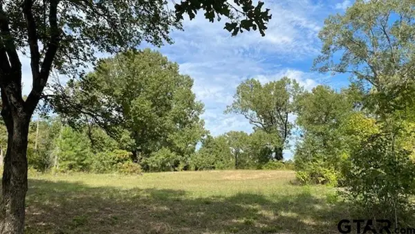 TBD Fm 2709, Eustace, TX 75124