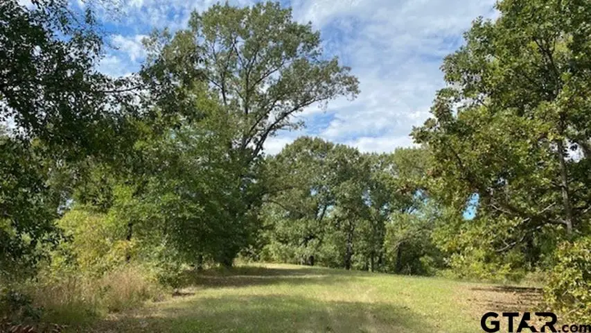 TBD Fm 2709, Eustace, TX 75124 - #3