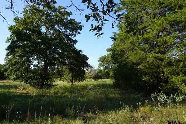 12641 Private Rd 5104, Athens, TX 75751