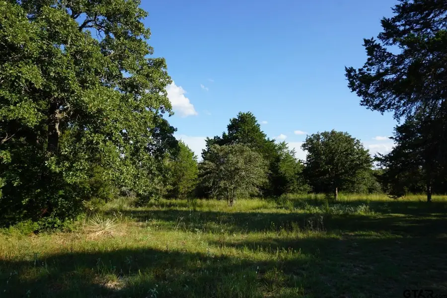 12641 Private Rd 5104, Athens, TX 75751 - #3