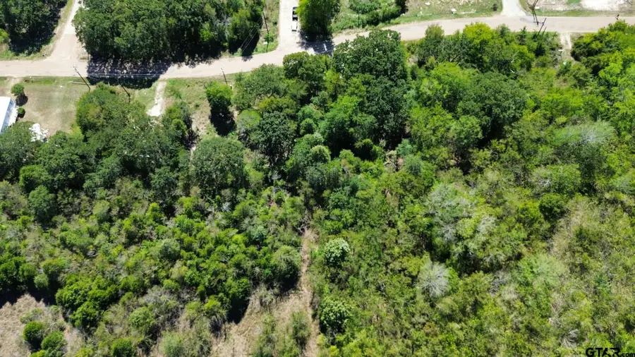 Lot 2 W Quanah Rd, Mabank, TX 75156 - #3