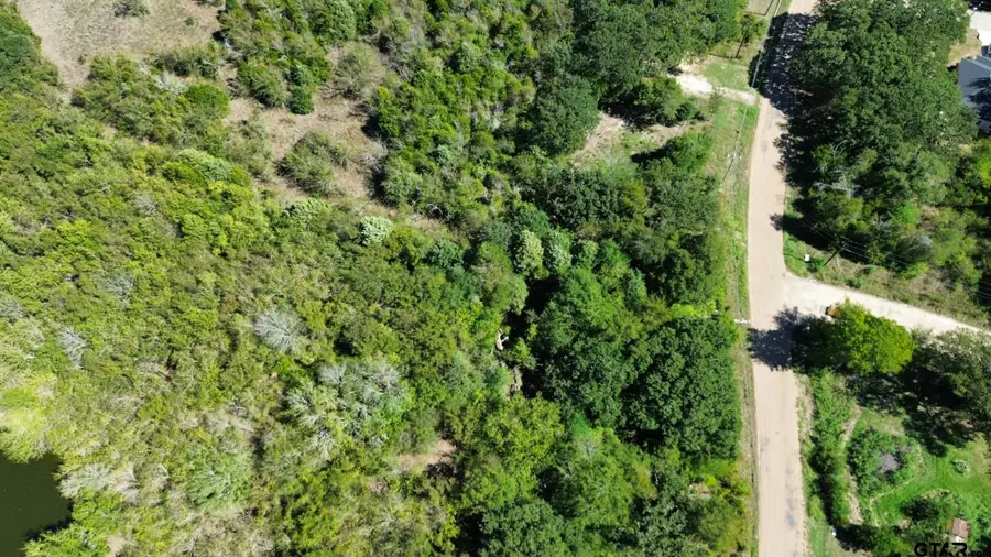 Lot 3 W Quanah Rd, Mabank, TX 75156 - #3