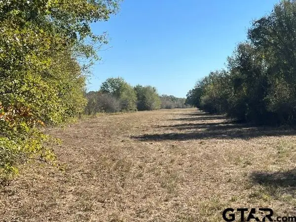 TBD Fm 1159, Clarksville, TX 75426