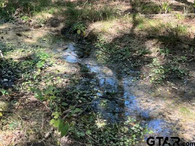TBD Fm 1159, Clarksville, TX 75426 - #2
