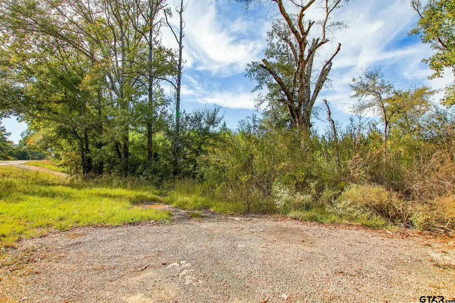 TBD Hwy 135 N, Troup, TX 75789 - #2
