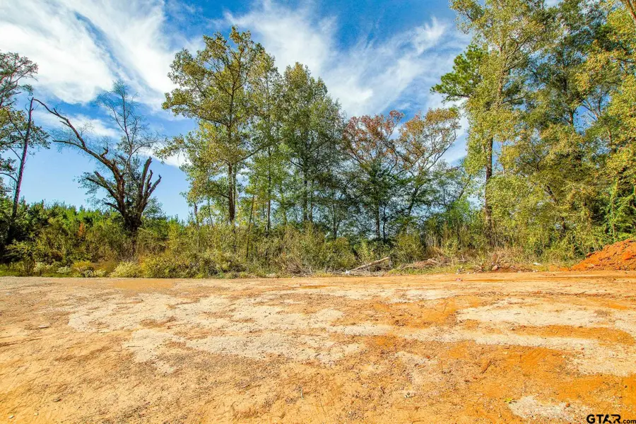 TBD Hwy 135 N, Troup, TX 75789 - #3