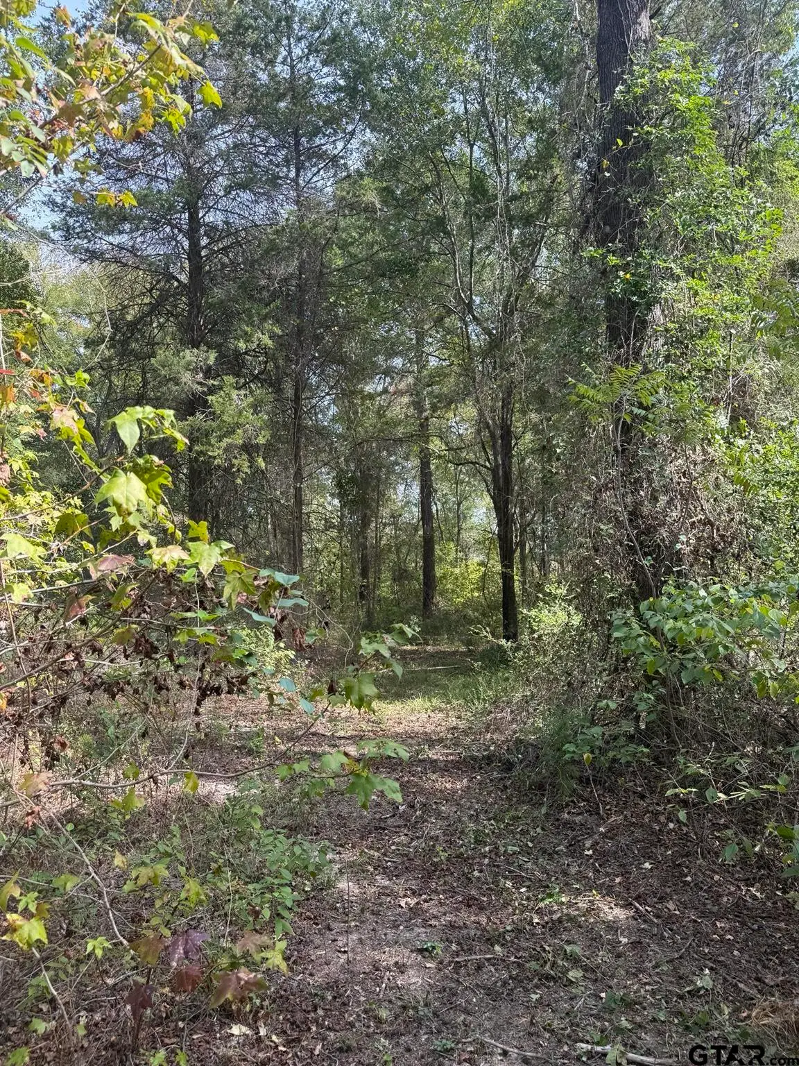 TBD Cr 2766, Mineola, TX 75773 - #1