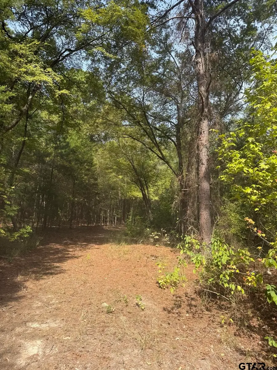 TBD Cr 2766, Mineola, TX 75773 - #2