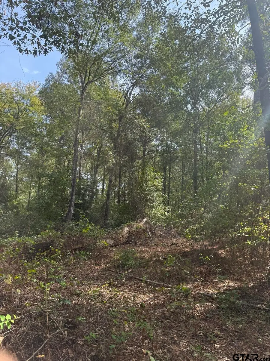 TBD Cr 2766, Mineola, TX 75773 - #3