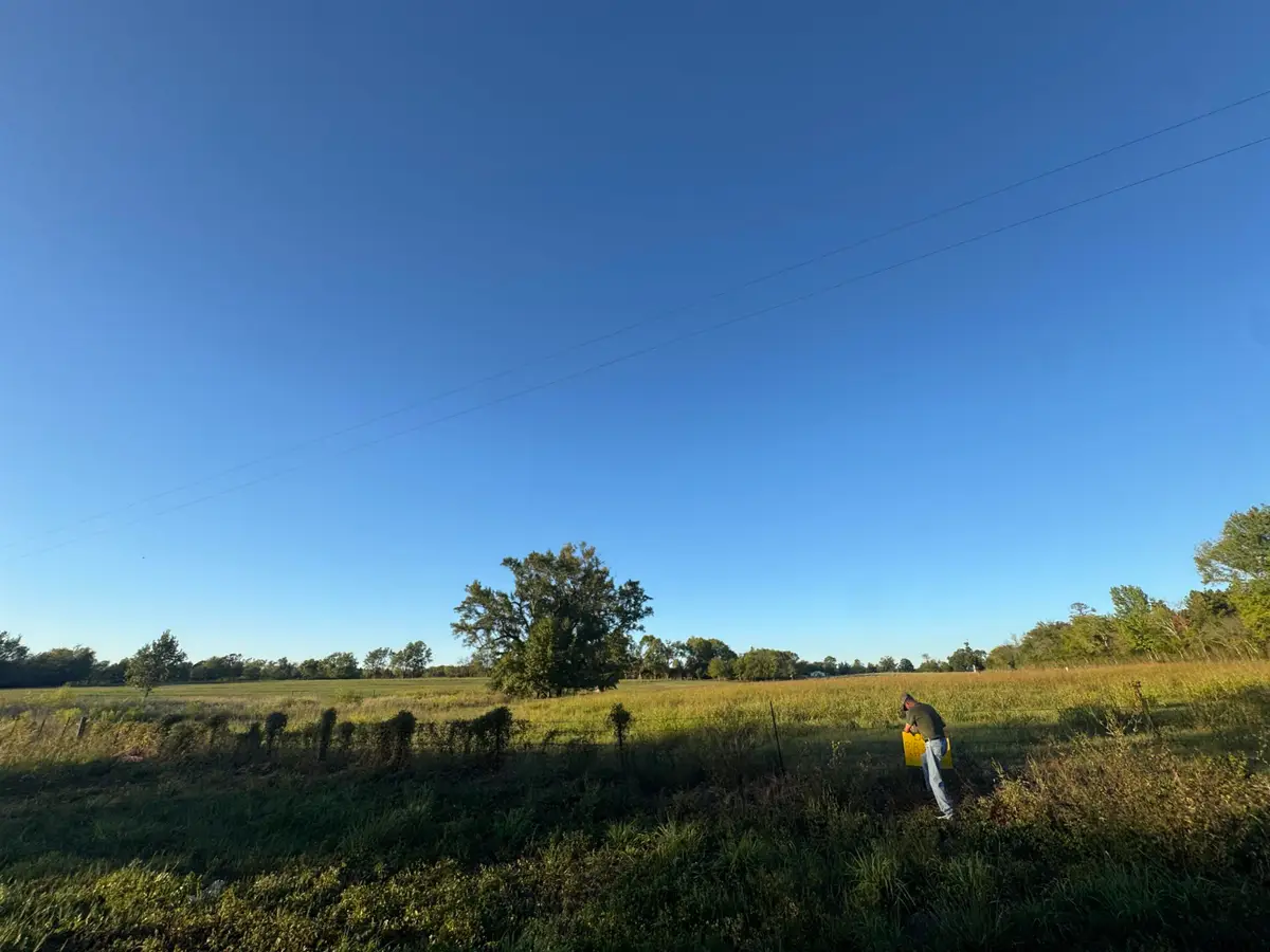 TBD E Fm 1798, Laneville, TX 75667 - #1