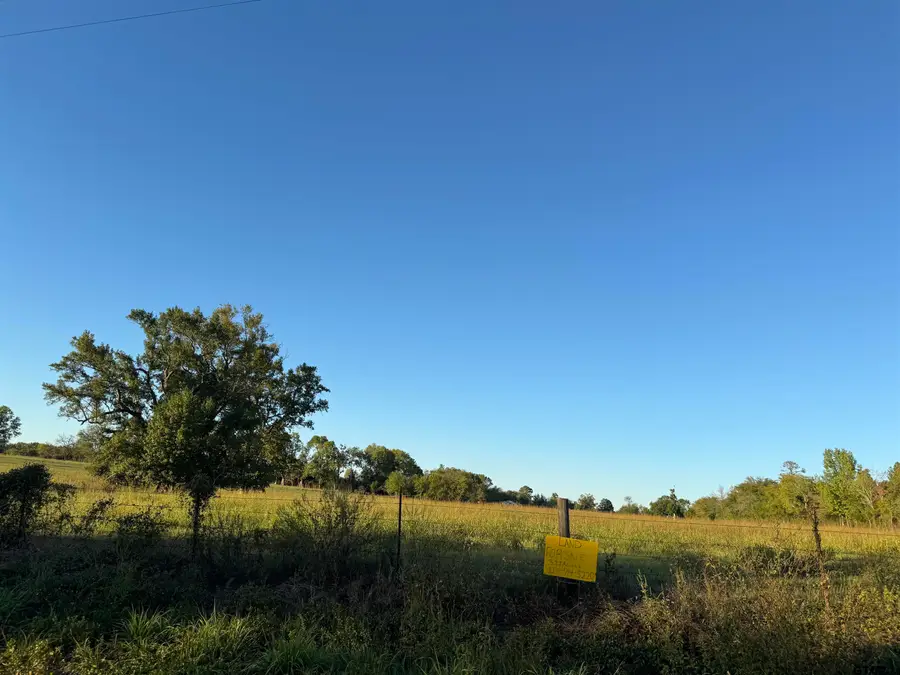 TBD E Fm 1798, Laneville, TX 75667 - #2