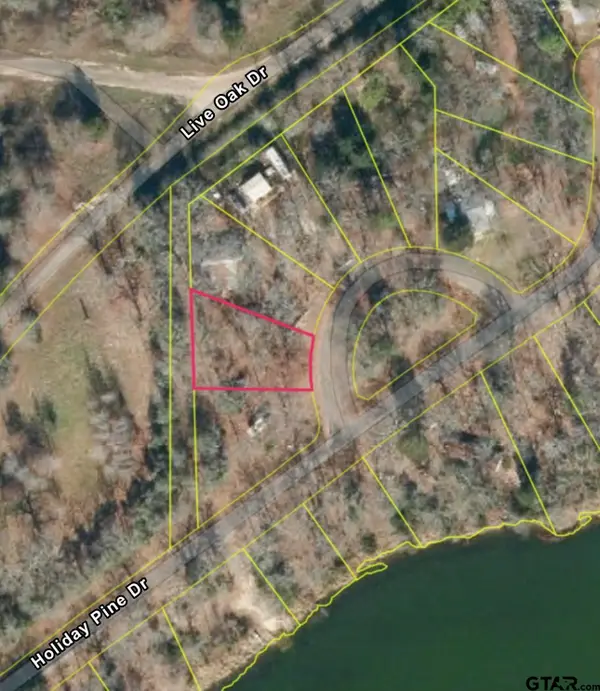 23759 Holiday Pine Dr, Mineola, TX 75773