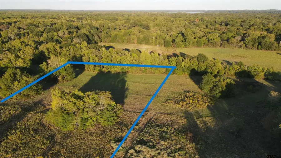 TBD County Road 1843, Yantis, TX 75497 - #3