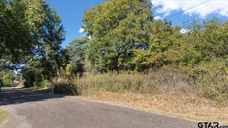TBD County Road 3414, Jacksonville, TX 75766 - #3