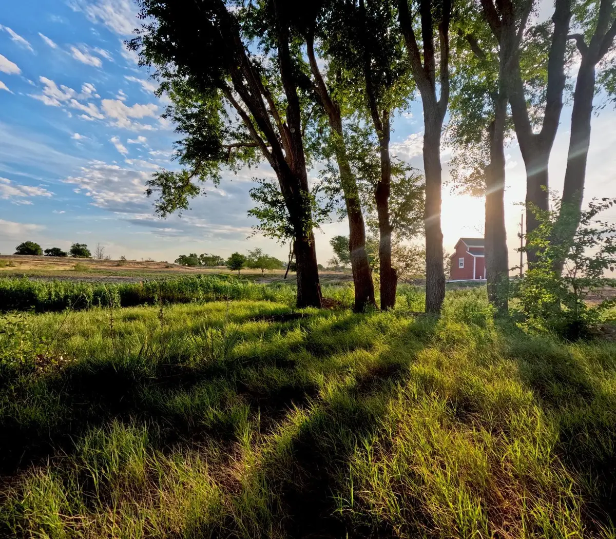 7921 County Rd 6050, Shallowater, TX 79363 - Image #1