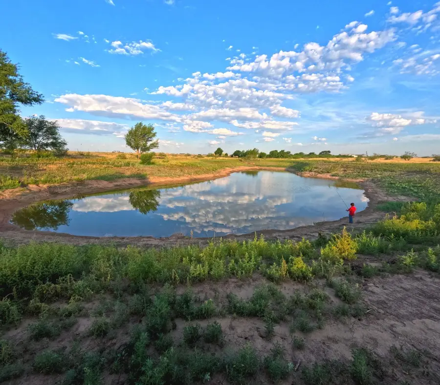 7921 County Rd 6050, Shallowater, TX 79363 - Image #3