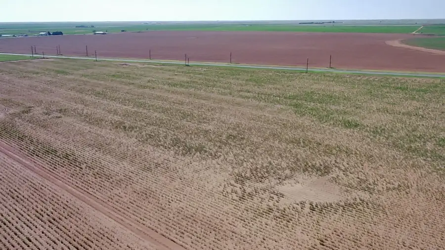 Tx-83, Welch, TX 79377 - #3