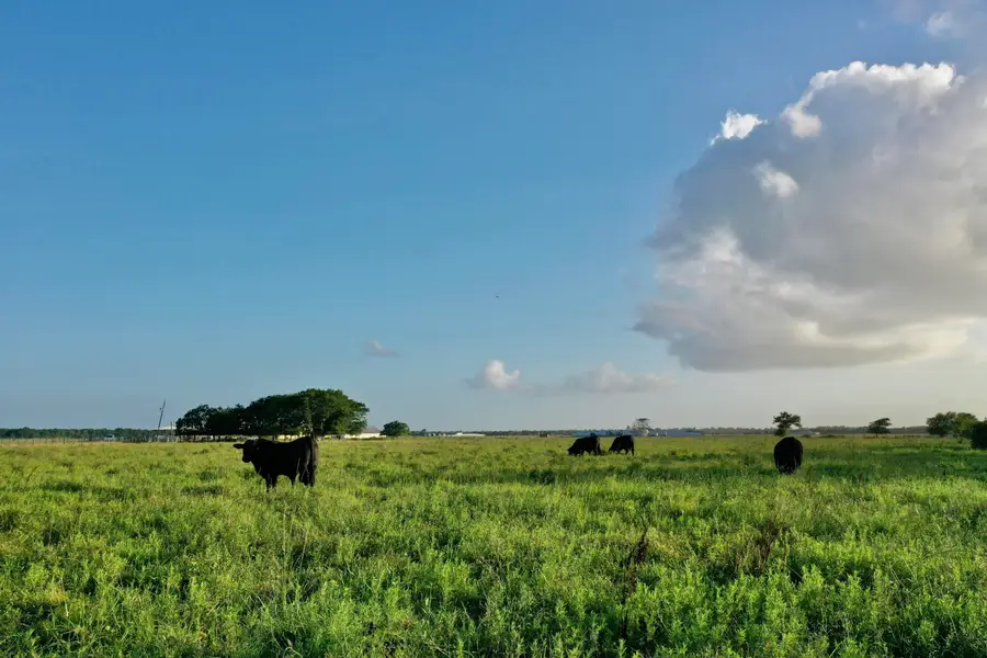 S Co Rd 102, Wharton, TX 77488 - Image #3