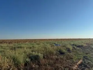 County Rd 1100, Shallowater, TX 79363 - Image #1