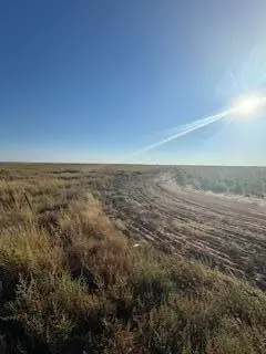 County Rd 1100, Shallowater, TX 79363 - Image #2