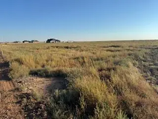 County Rd 1100, Shallowater, TX 79363 - Image #3