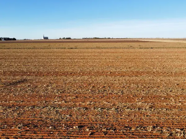 6663 Tiger, Ropesville, TX 79358