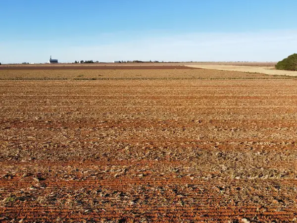 6665 Tiger Road, Ropesville, TX 79358