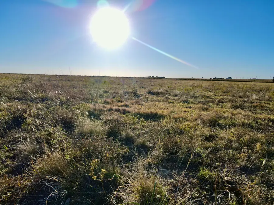 7844 Fm 1318, Tulia, TX 79088 - Image #2